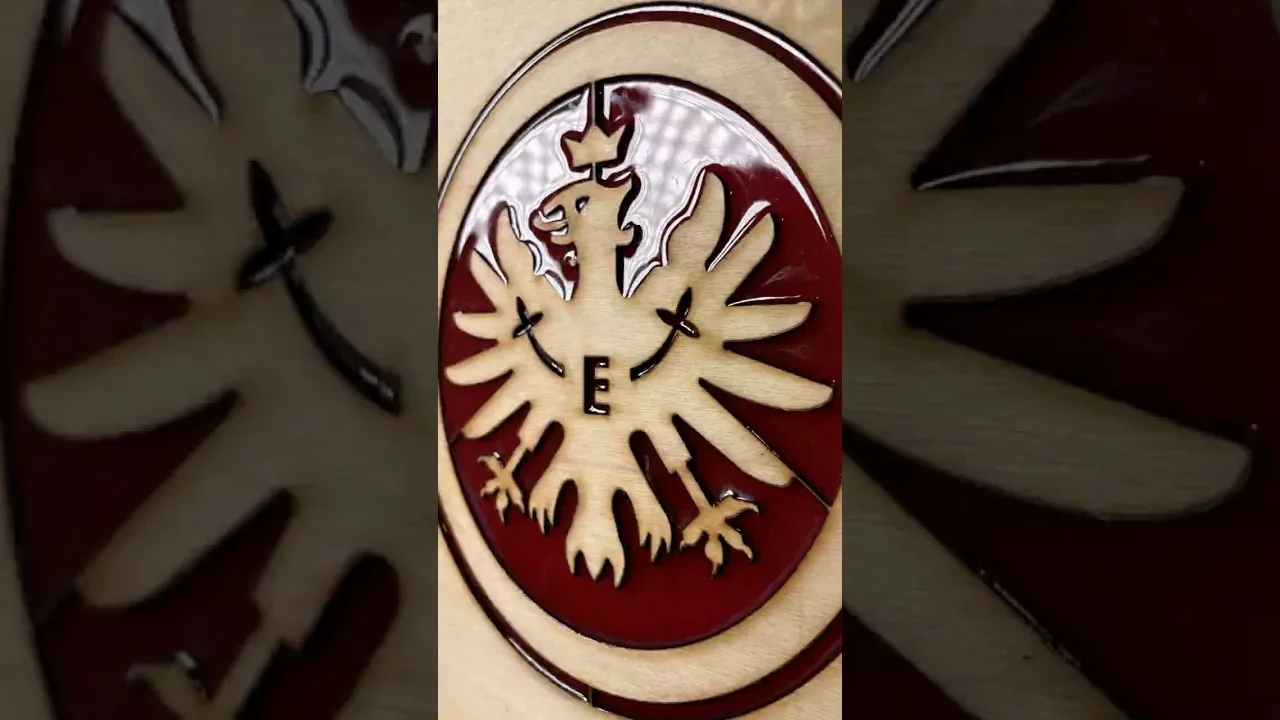 Die Eintracht vom Main  #eintrachtfrankfurt #sge #forzaSGE  #bundesliga #sgefan #eintracht