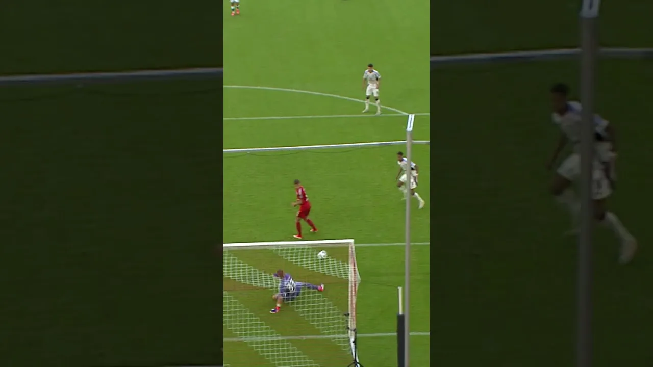ROBERT GLATZEL DÉCHIRÉ DANS LE BUT ! #nurderhsv #hamburgsv #fortunadüsseldorf #2bundesliga #hsv