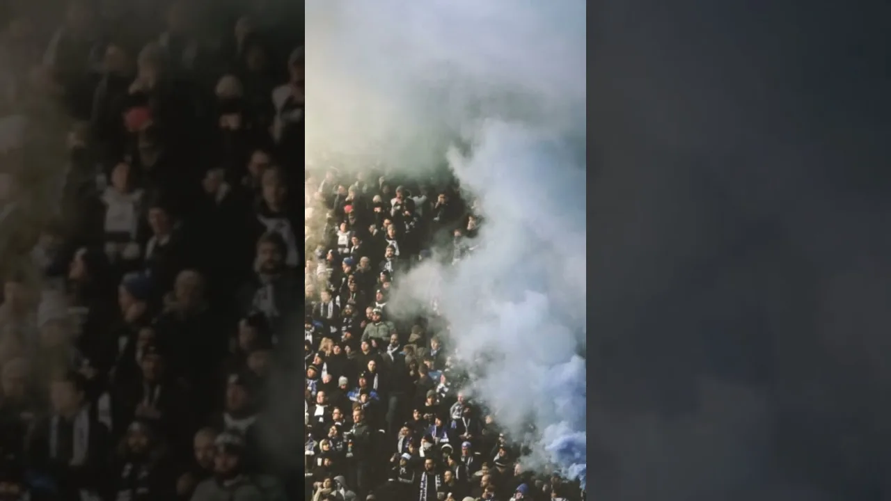 Kölner äußern sich zum Magdeburg Angriff  #ultras #bundesliga #fußball #fcmagdeburg #fcköln #effzeh