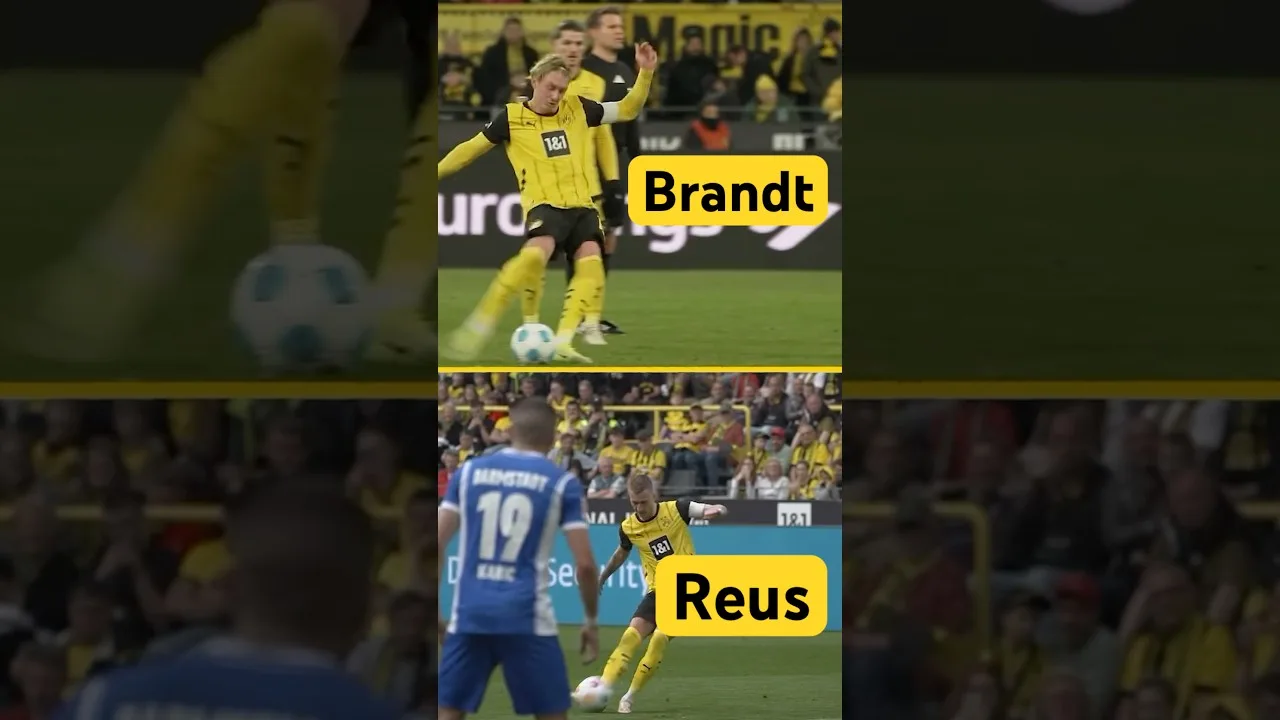 Brandt & Reus : Cela semble familier