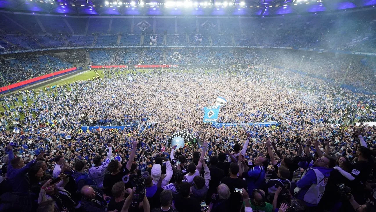 Les fans de Hambourg SV sont gravement blessés dans la promotion de Bundesliga après