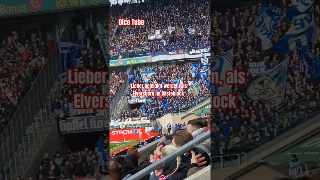 Schalke mit ein paar Sticheleien, die beim Fußball dazu gehören #bundesliga #fans #Schalke #1fcköln