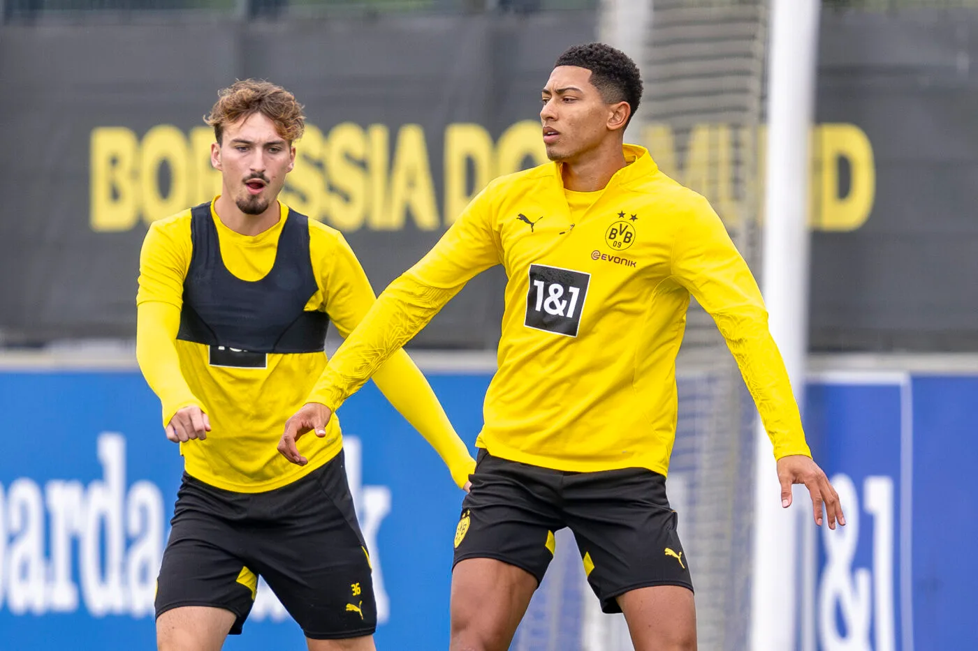 À Dortmund, un autre Bellingham est possible – Allemagne – Borussia Dortmund