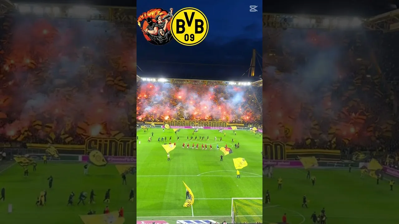 BVB Dortmund Ultras  #ultras #bundesliga #soccer #pyro #party #derby #dortmund #football