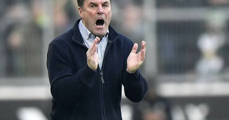 Bochum, en difficulté en Bundesliga, se tourne vers un entraîneur vétéran | L’étoile du Nord-Ouest | Mont Isa, Queensland