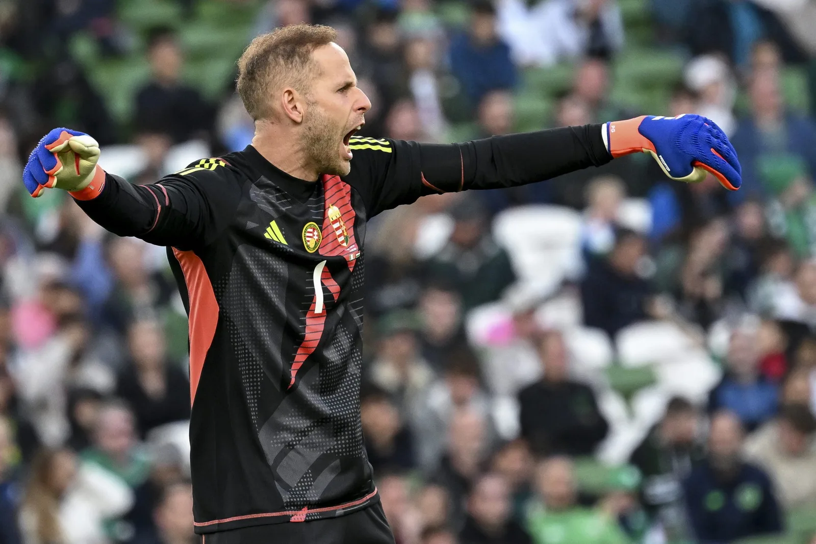 Péter Gulácsi nommé meilleur gardien de Bundesliga cet automne