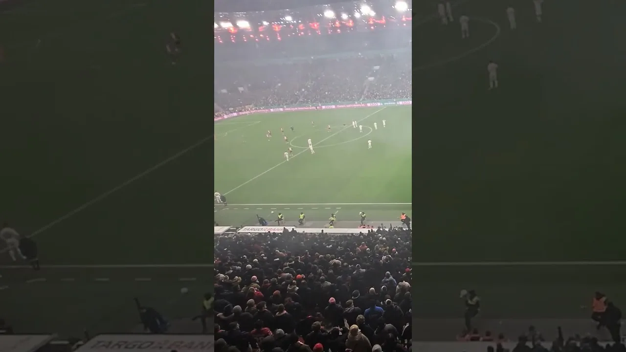 Schiedsrichter Durchsage VAR #bundesliga #effzeh #ultras #fussball