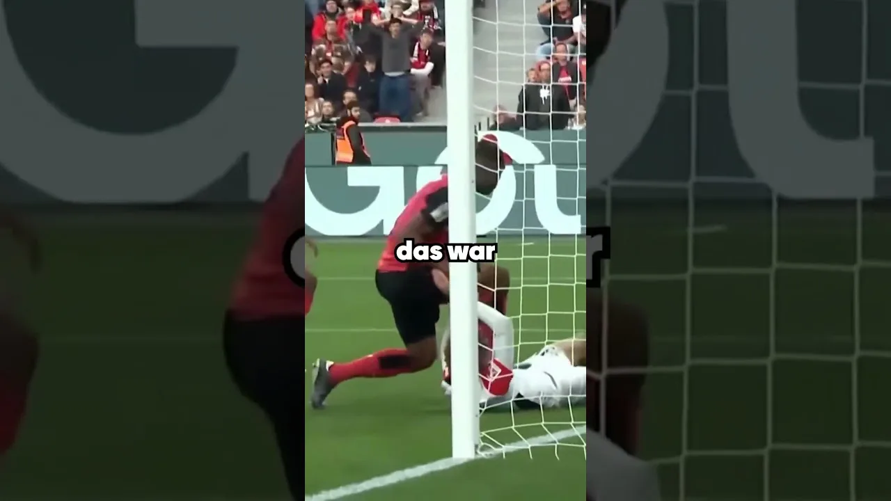100% Elfer nicht gegeben… #fussball #bundesliga #schiedsrichter