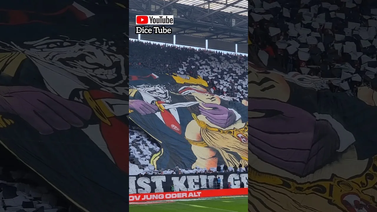 Choreo vom 1.FC Köln gegen Düsseldorf #ultras #Fans #bundesliga #derby #rheinderby #football #effzeh