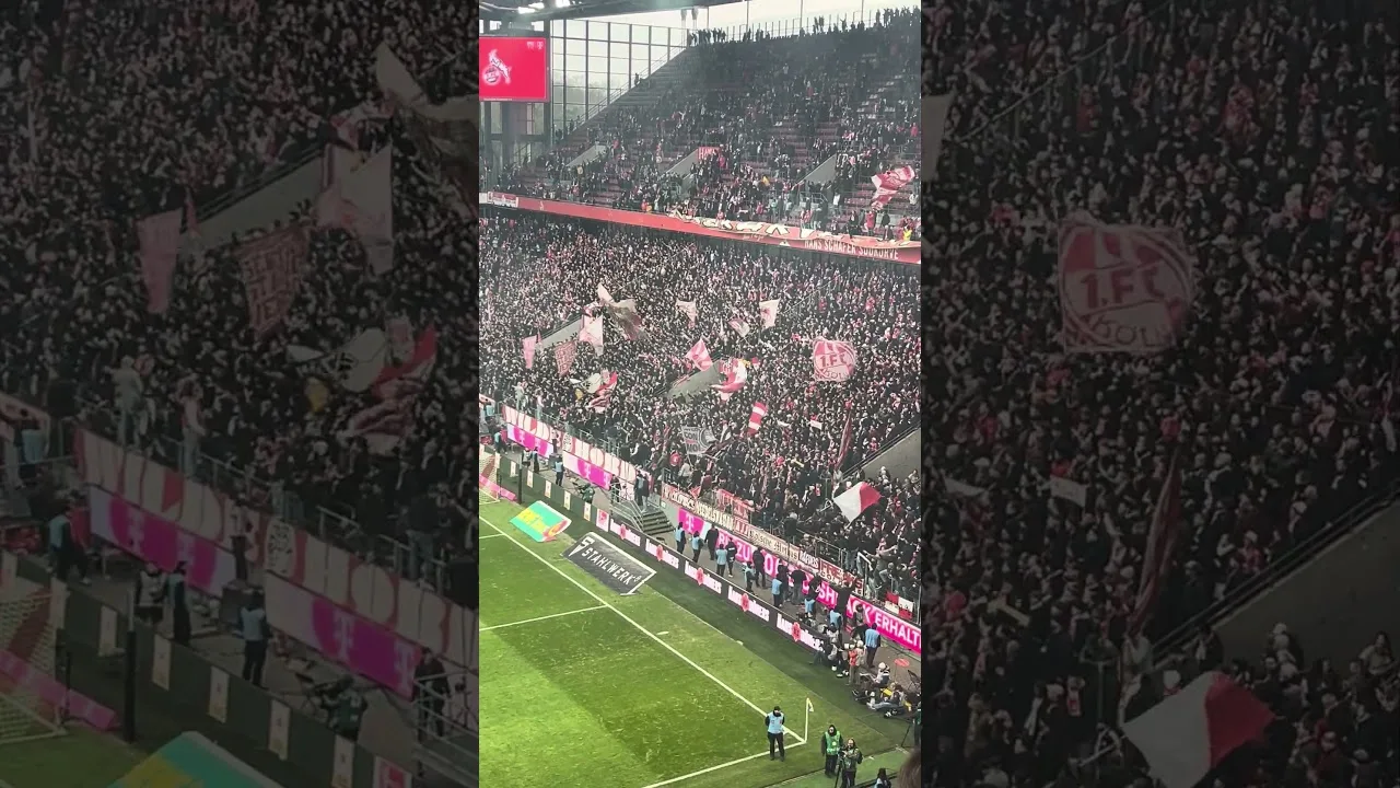 Scheiße 04 #bundesliga #effzeh #fussball #ultras