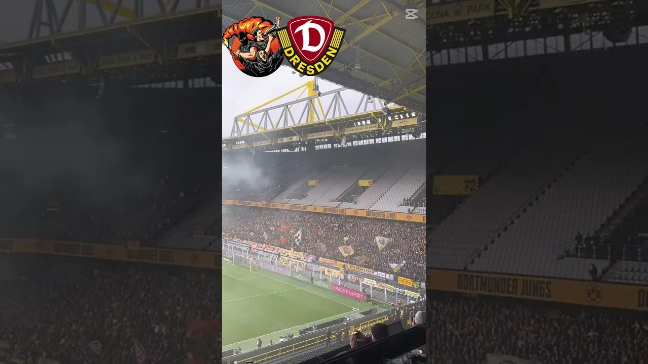 Dynamo Dresden Ultras  #ultras #bundesliga #soccer #dynamodresden #football #derby #cr7 #messi