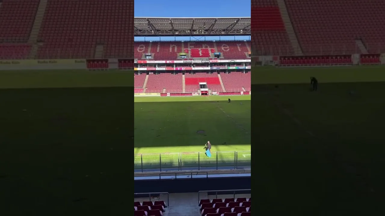 Der Tag danach…❤️🤍 #fcköln #bundesliga #ultras                     (Video von: koelnistkool)