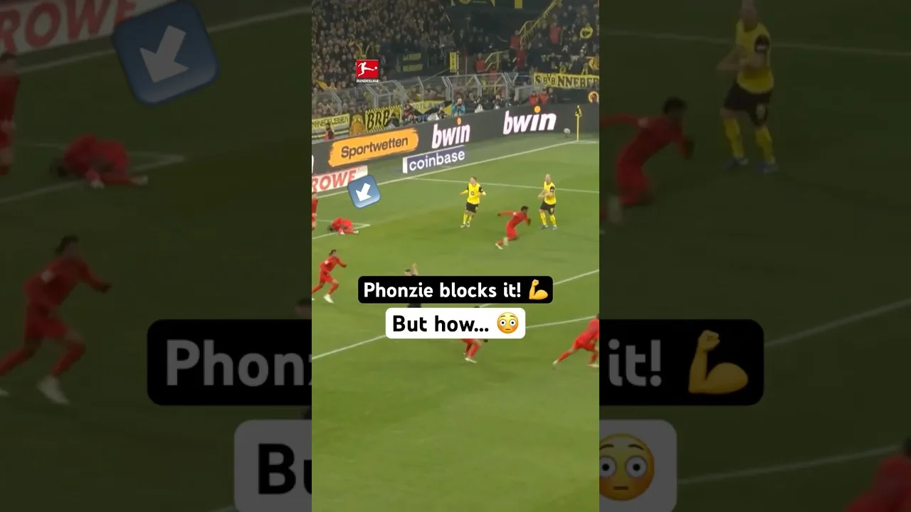 Vous devez vous sentir mal pour Phonzie ! 🎯😖