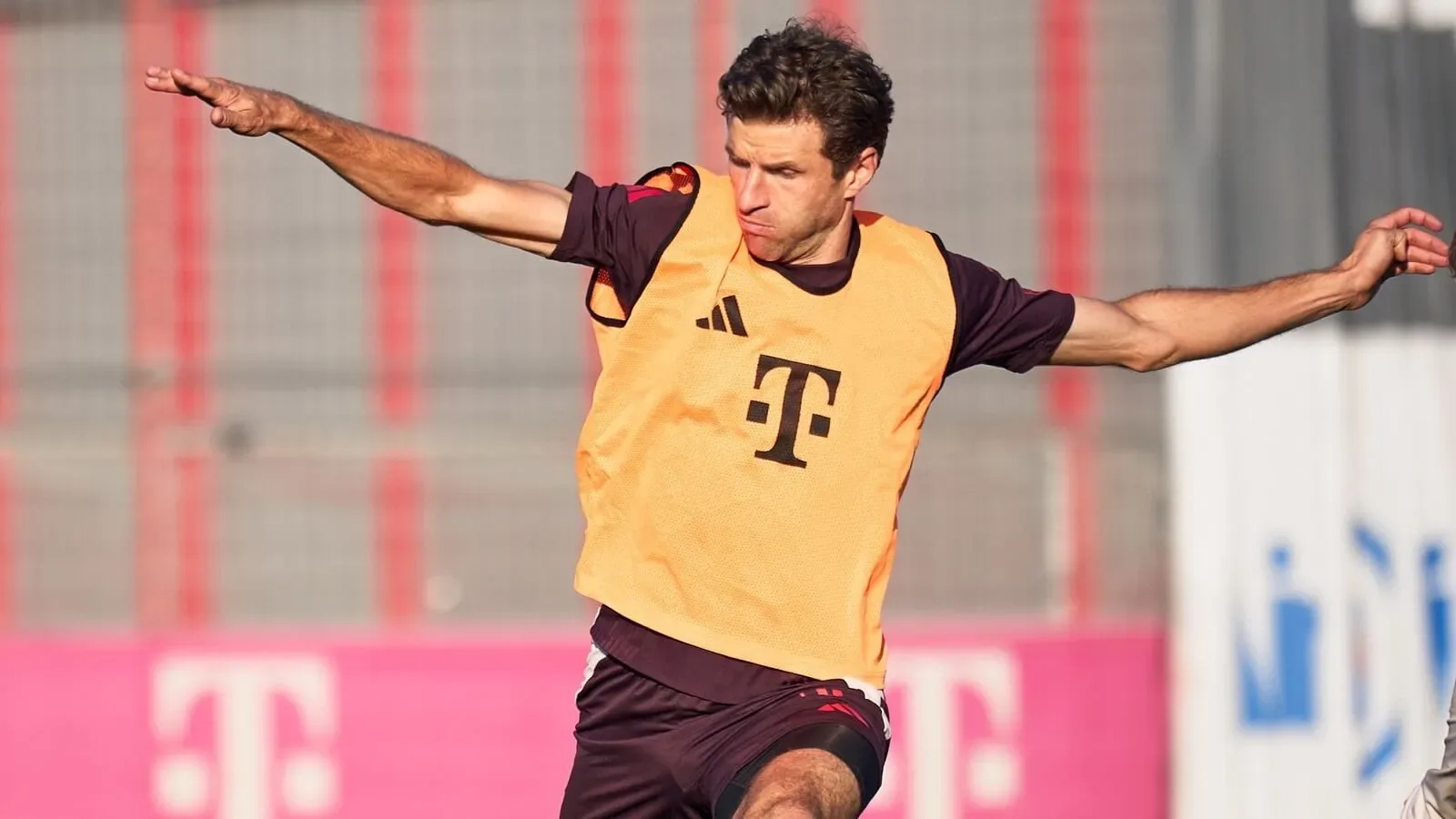 Bayern Munich – Benfica, Conseils de paris Ligue des Champions, 06.11.2024