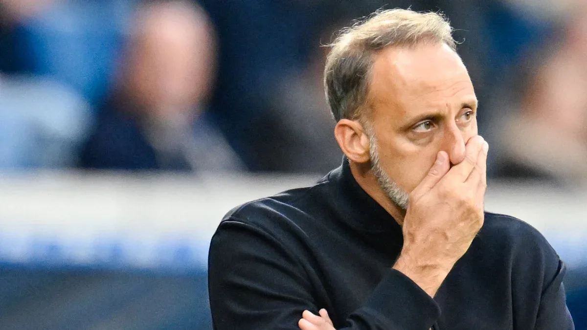 Bundesliga : Hoffenheim limoge l’entraîneur Matarazzo – qui sera son successeur ? – Sport
