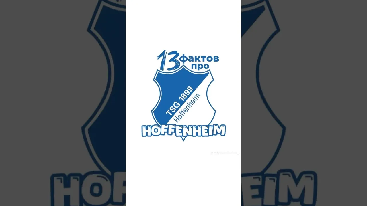 #footballshorts #футбол #football #retrosoccer #soccer #top #bundesliga #hoffenheim