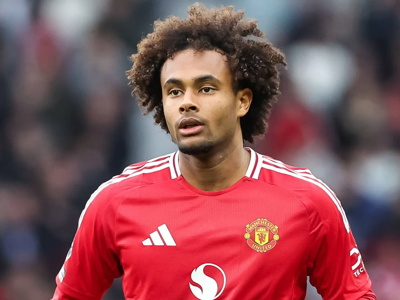 Man United « ajoute le vainqueur de la Bundesliga à la liste restreinte des attaquants » suite aux difficultés de Joshua Zirkzee