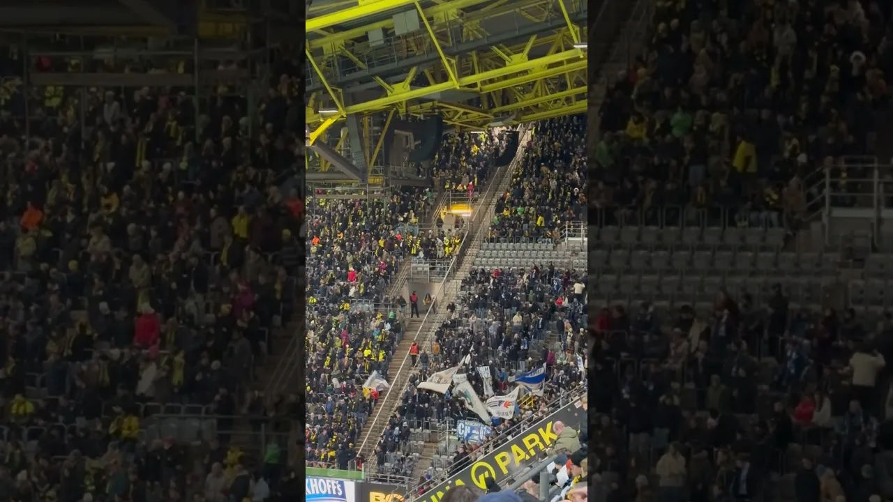 Das ganze Dorf von Hoffenheim in Dortmund 😂😂😂 #ultras #bundesliga
