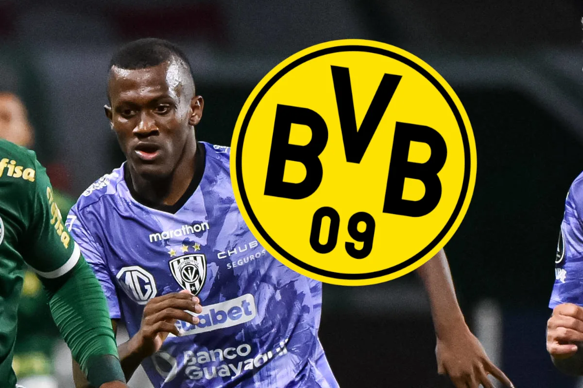 Borussia Dortmund: L’étoile déjà sèche-bvb-bvb fournit un marteau